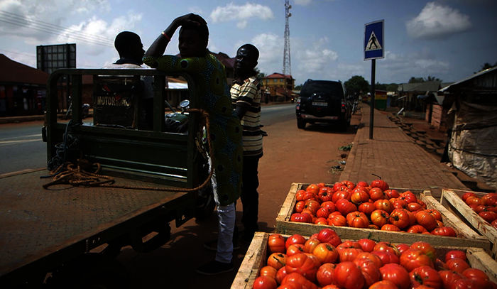 Tomaten sind fester Bestandteil der ghanaischen K&uuml;che. Der regionale Tomatenmarkt bricht unter dem Druck billiger Importe aus China und Italien regelrecht zusammen. Bild: Sender / ZDF / Little Big Story 