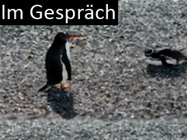 Im Gespräch