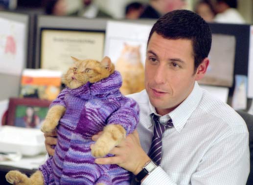 Adam Sandler hat&rsquo;s nicht leicht. Bild: Sender
