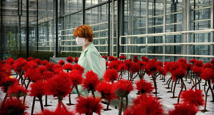 Little Joe: Emily Beecham (Alice). Bild: Sender / coop99 filmproduktion / The Bureau / Essential Films