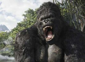 Um der vielfach erz&auml;hlten Legende des Riesenaffen Kong auf den Grund zu gehen, macht sich eine Filmcrew auf den Weg zu der geheimnisvollen Insel Skull Island. Im unber&uuml;hrten Dschungel begegnen ihnen pr&auml;historische Riesenwesen und schlie&szlig;lich deren Erzfeind: King Kong. Bild: Sender / Universal Pictures
