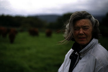 NEWS von Rosamunde Pilcher – die Filme im TV