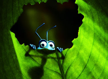 Das große Krabbeln